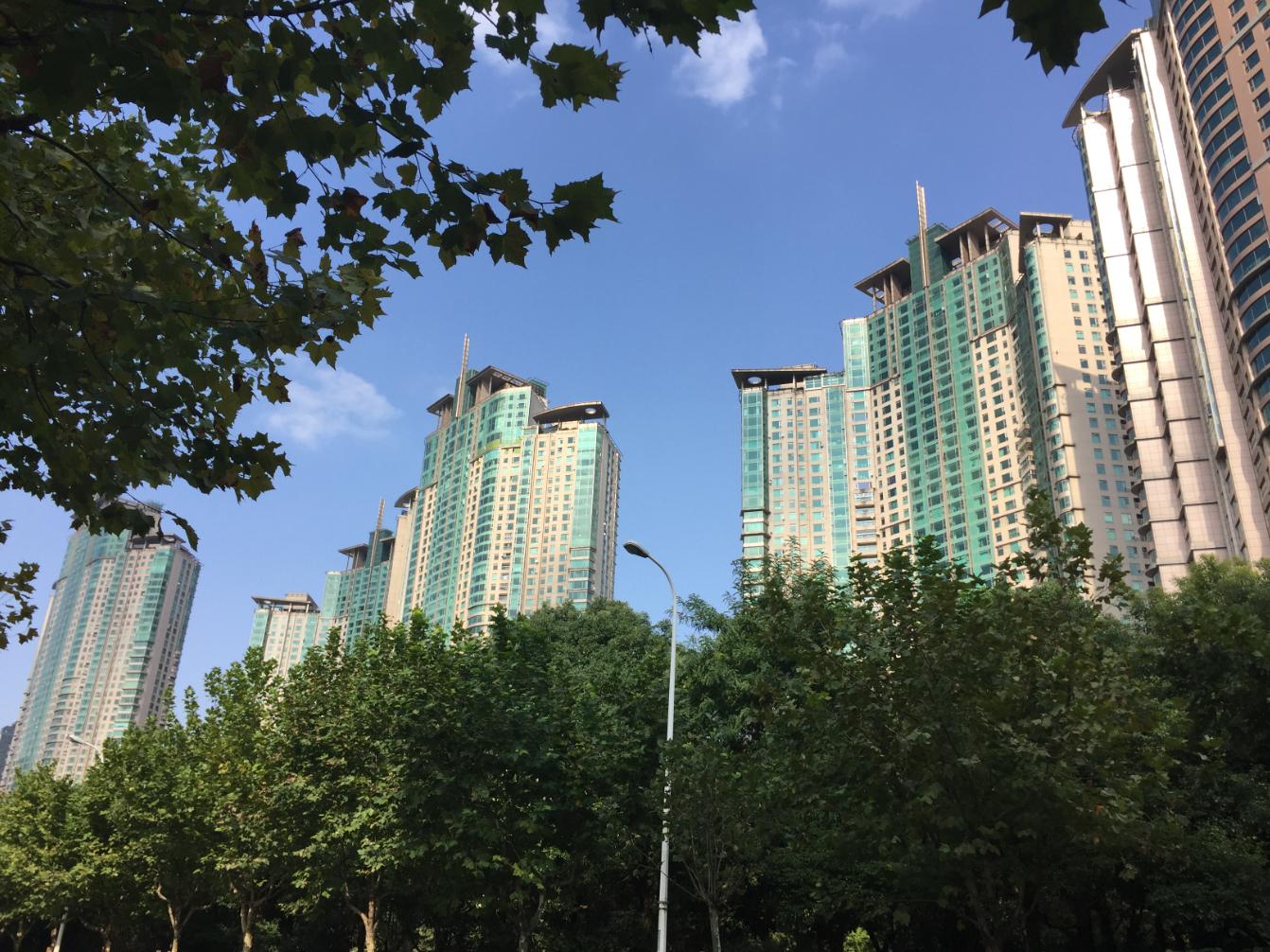 上海世茂滨江花园8号楼视角,上海世茂滨江花园看外滩