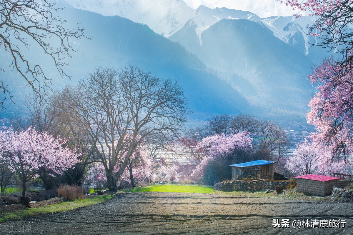 各个月份最值得旅游的城市,各个季节最适合旅游的城市