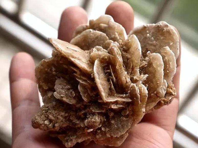 沙漠玫瑰原生地景观,沙漠里的沙漠玫瑰奇特景观