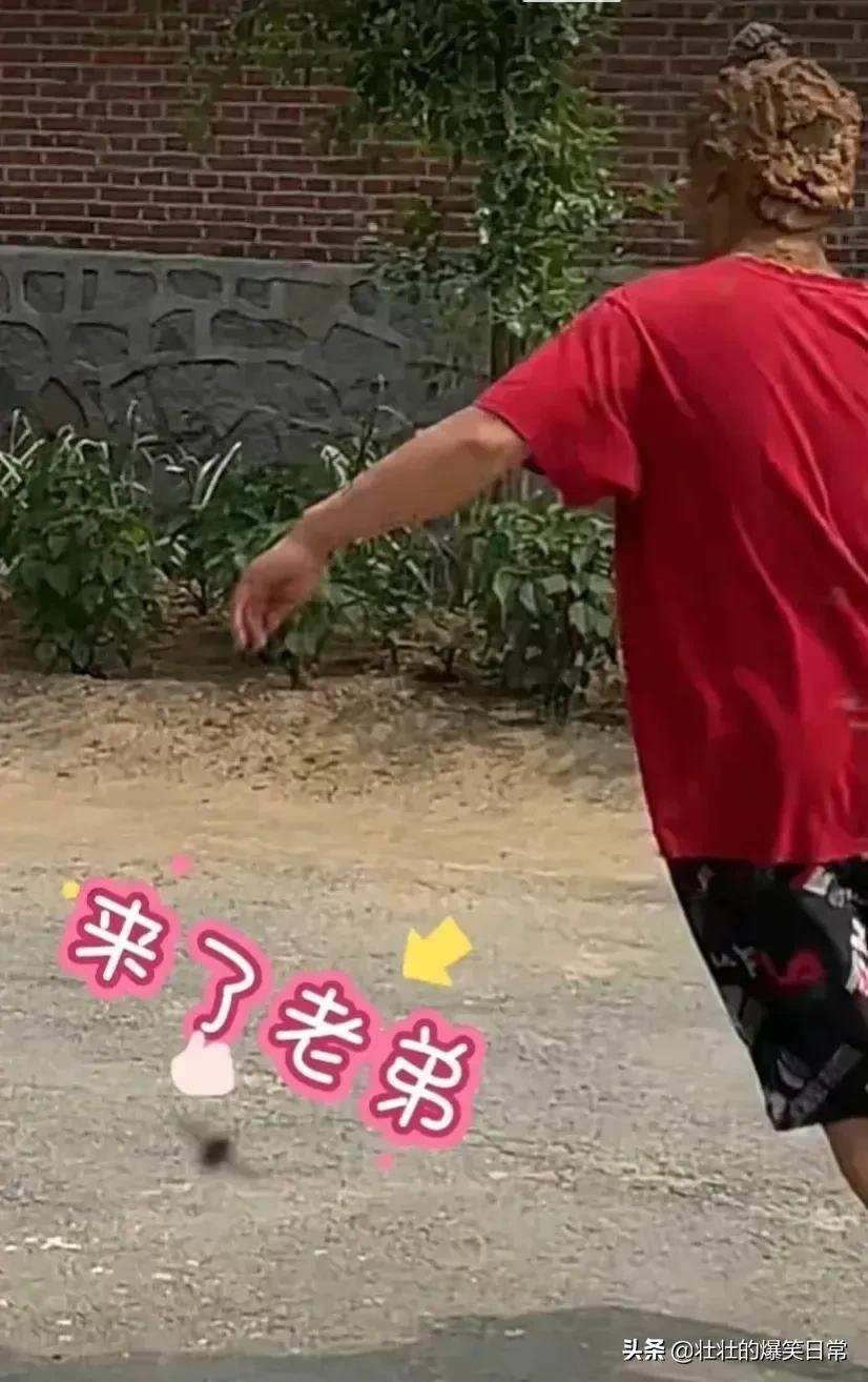 狮子魔性的笑声笑死人,狮子搞笑片