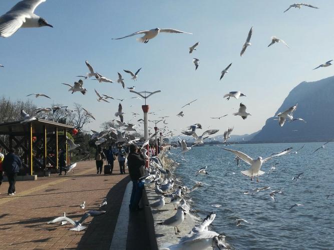 云南旅游3天两夜全攻略自由行,云南旅游攻略6天5晚带你玩转云南