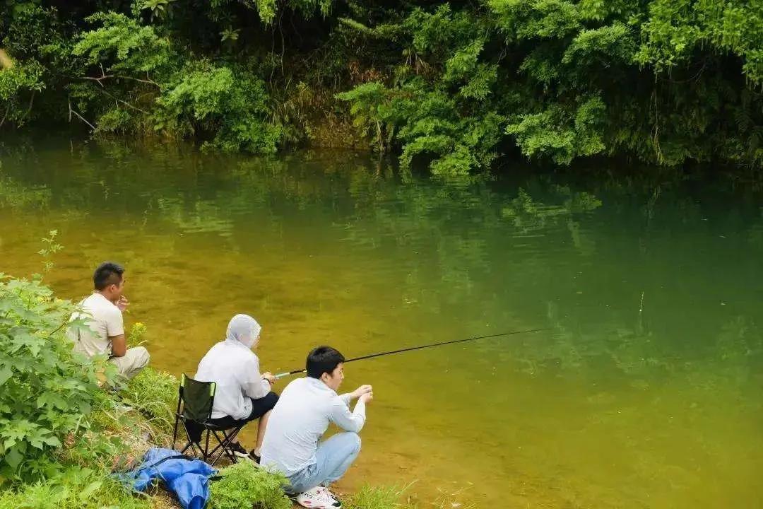 贵阳自驾徒步露营地推荐,贵阳周边露营徒步地推荐