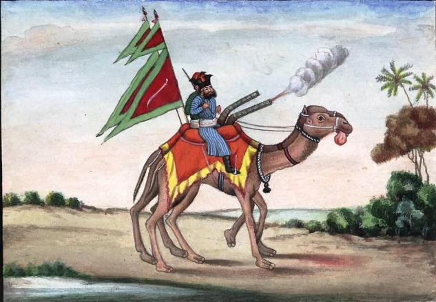 噶尔丹策零与达瓦奇,噶尔丹策零简介