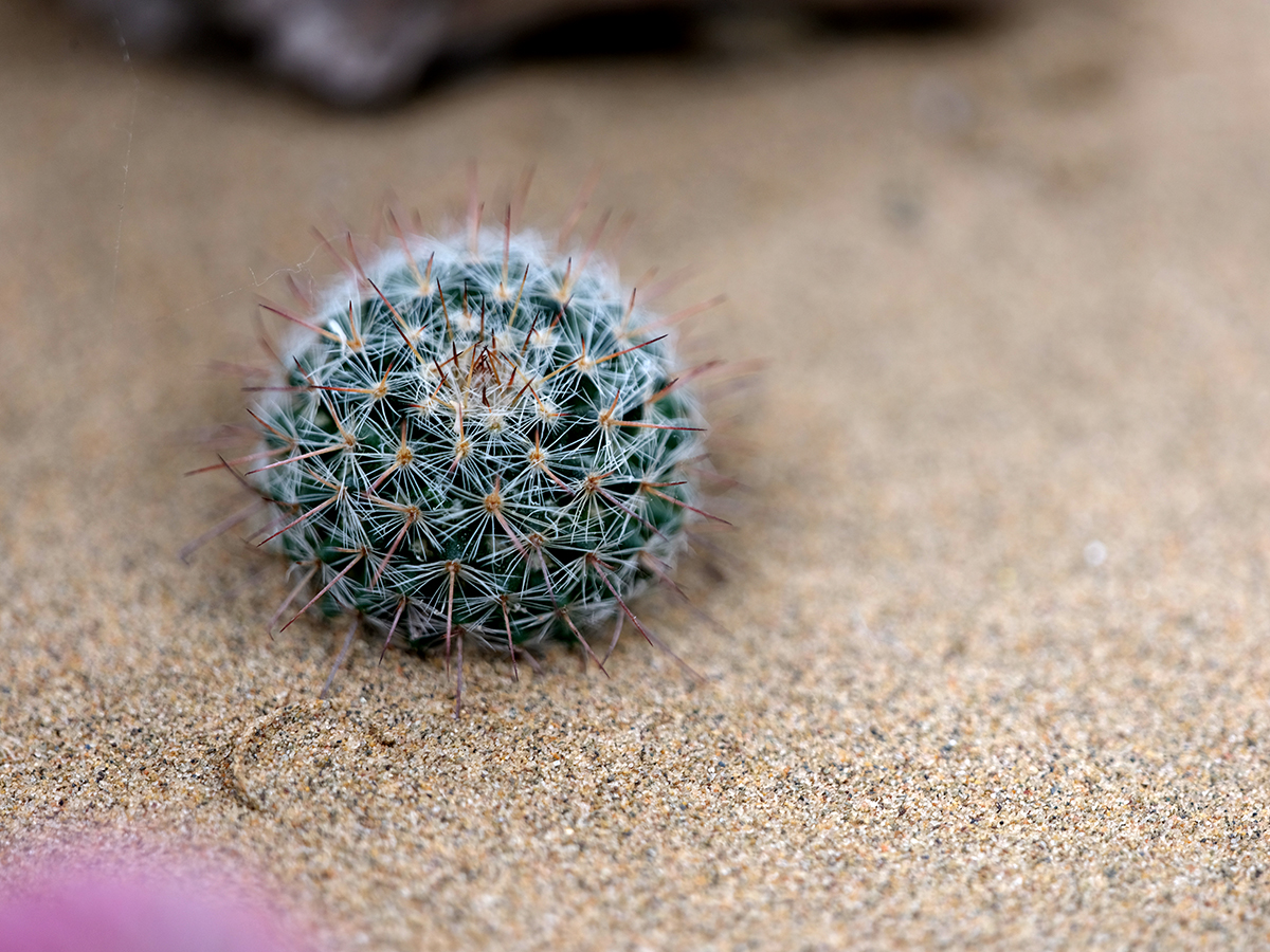 尼康全画幅人像相机推荐z系列,尼康z8人像直出照片评测
