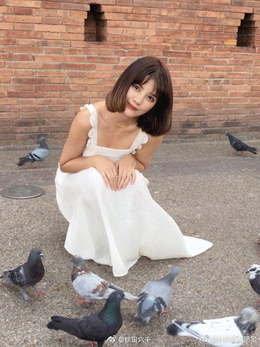 搞笑动物头像沙雕图片,搞笑图片沙雕图片