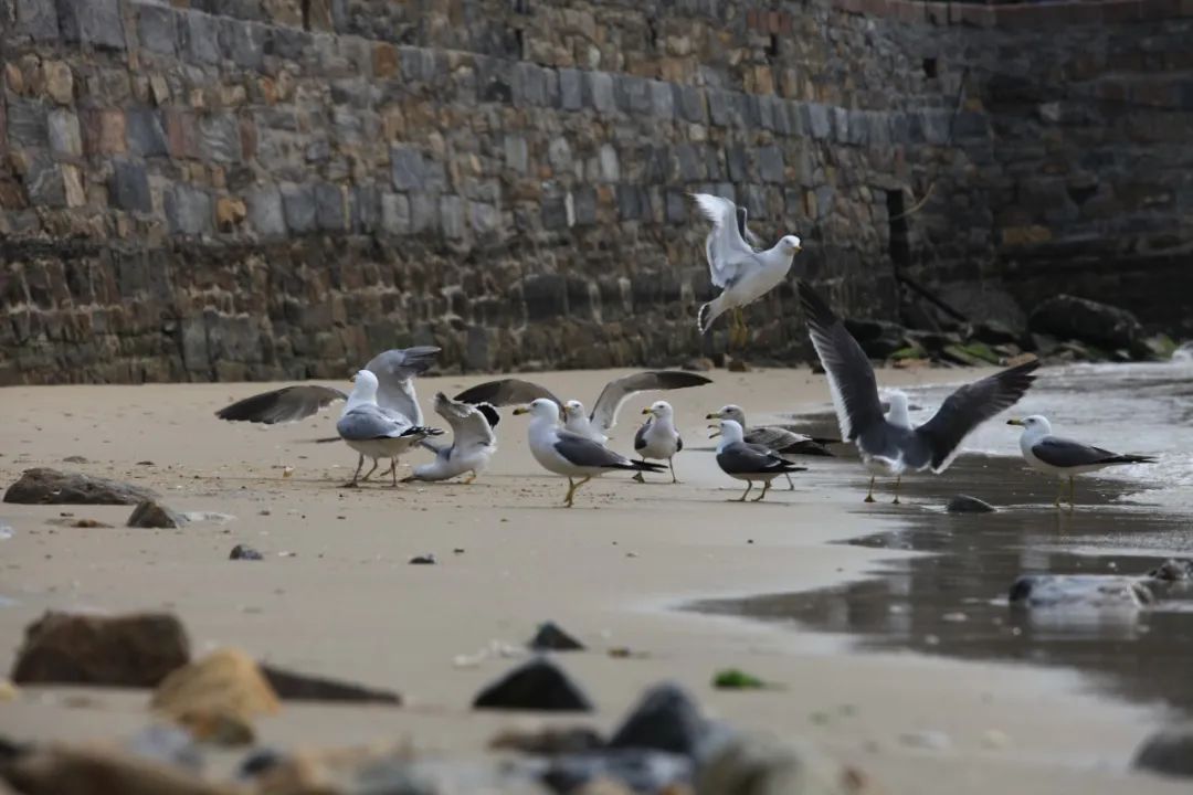 阳光正好周末出去走走,阳光明媚的周末游