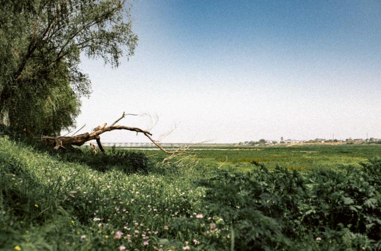 怎么消除爱一个人的感觉,怎么彻底戒掉爱的人呢