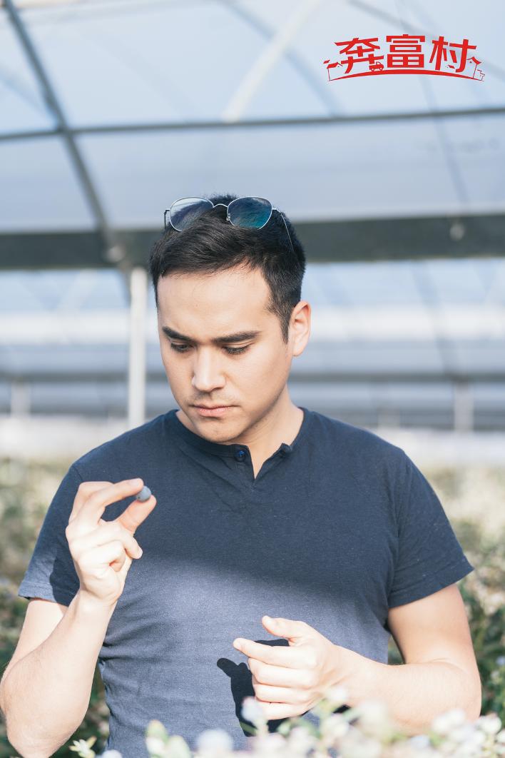 蓝莓产业筑起农民致富路,蓝莓基地一年收入