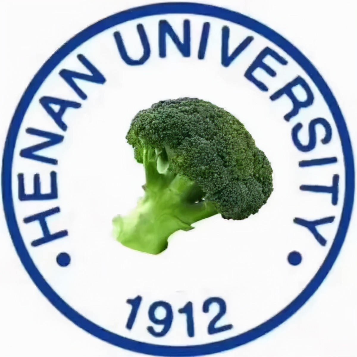 马云在沙漠种的树现在什么样了,马云承诺种树视频