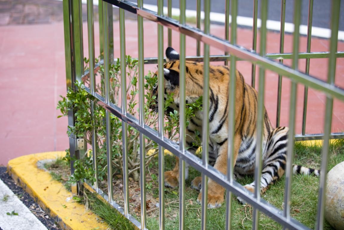 探秘韶关,魅力韶关之旅