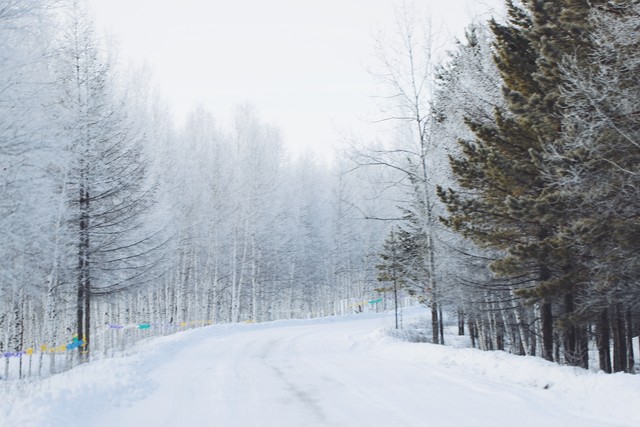 东北三省黑龙江最大吗,黑龙江省是我国最北方的省份吗