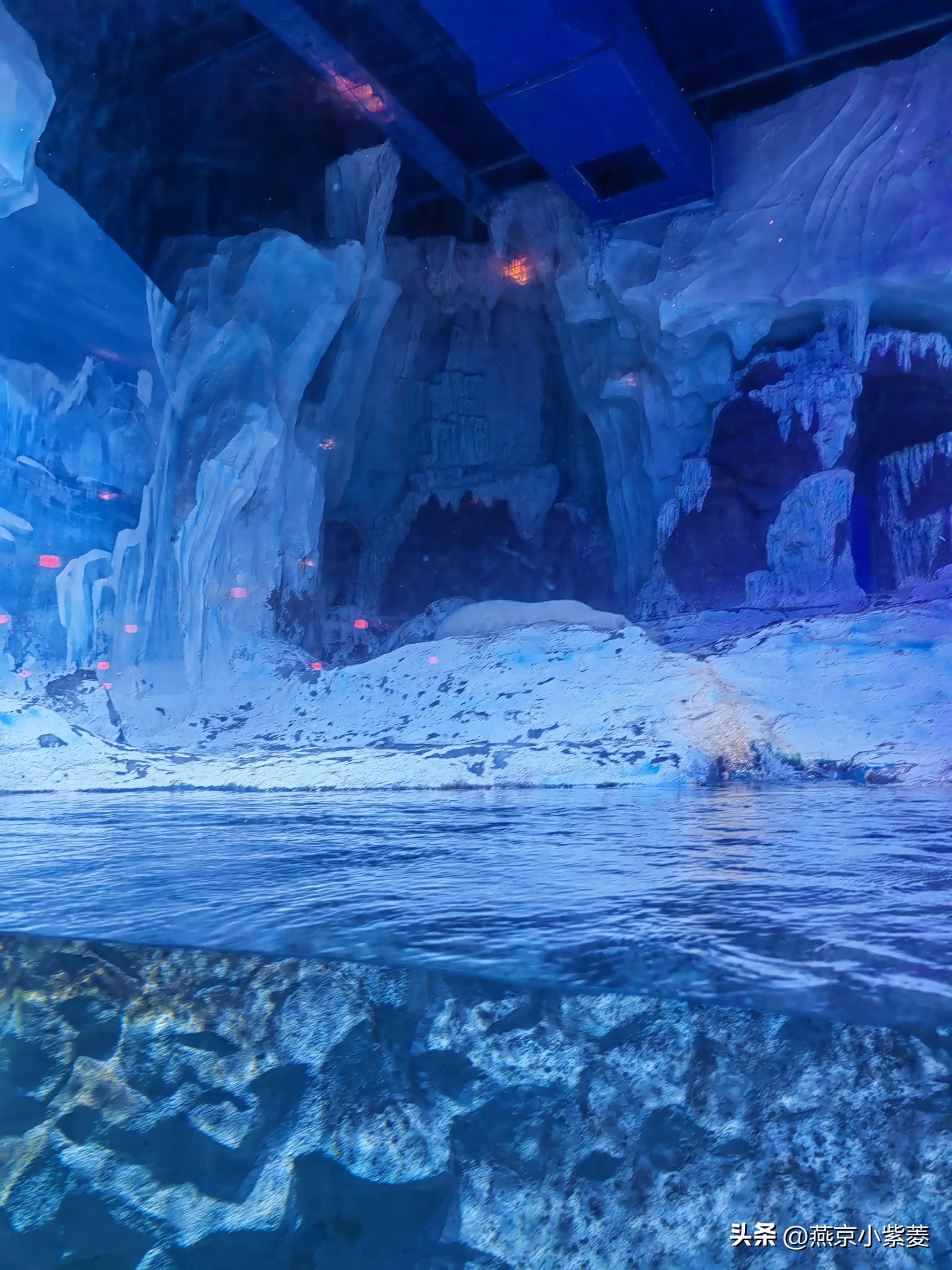 青岛海昌极地海洋世界好玩吗,青岛海昌极地海洋世界vs青岛海底世界