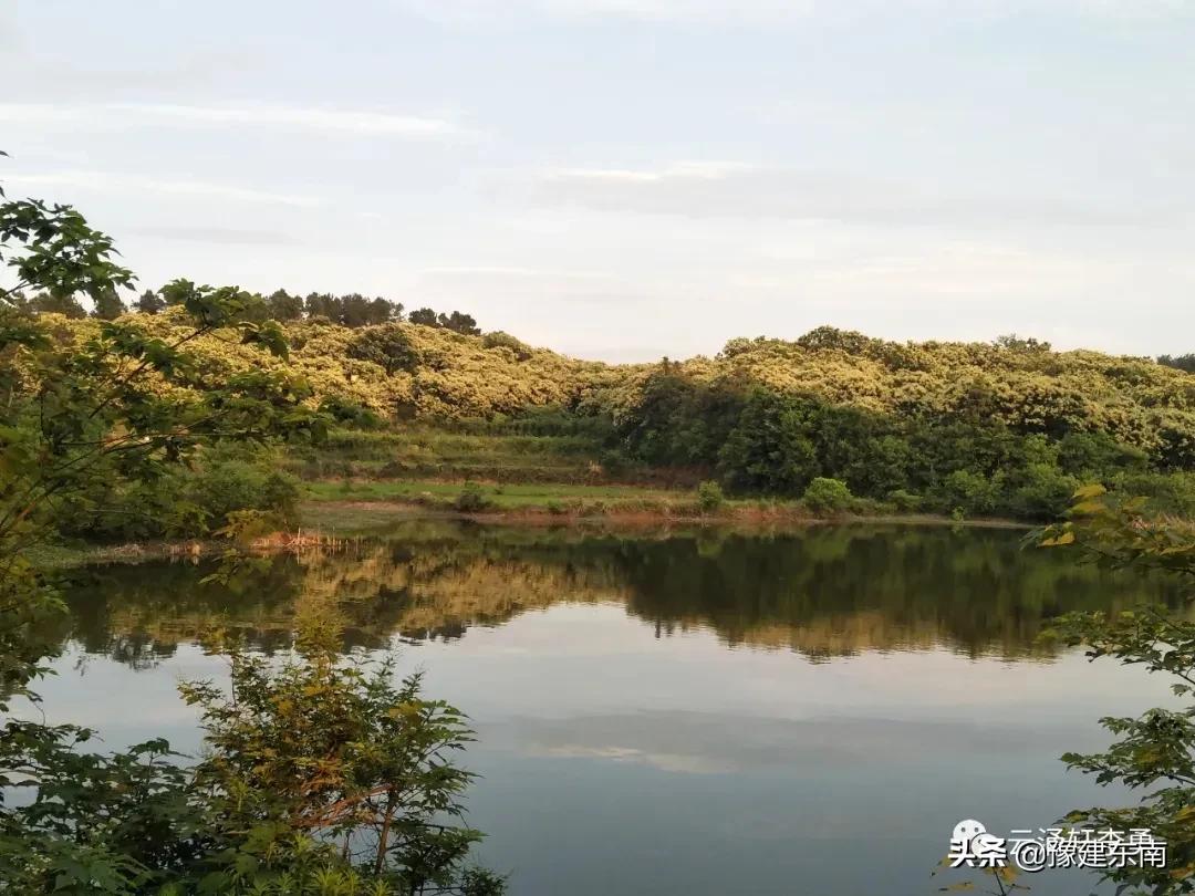 湖山雅致——历史上苏州与信阳人口互迁研究