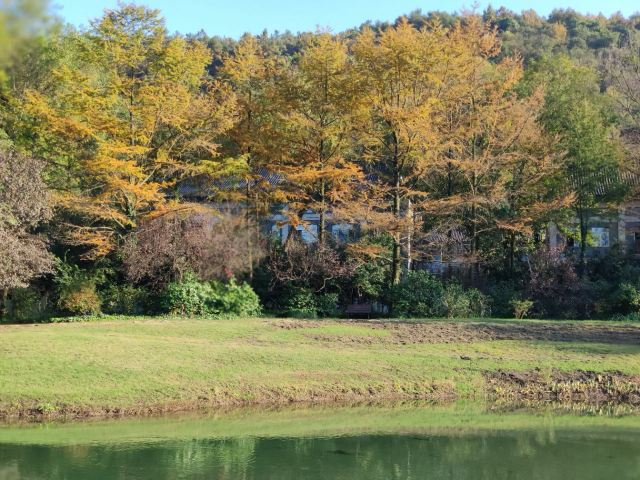 杭州周边赏秋好去处,杭州赏秋最佳攻略