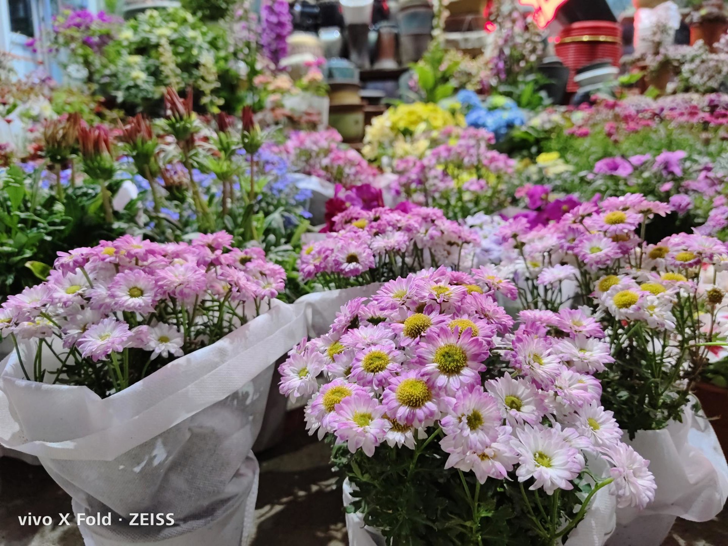 vivoxfold折叠屏评测,vivoxfold对比华为matex2