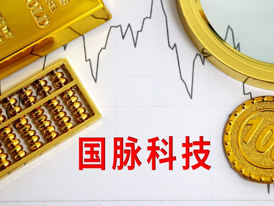 未来5年国脉科技,国脉科技的前世今生