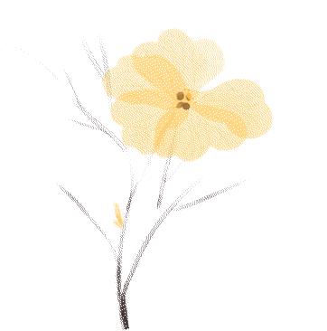 艾灸盒用得着选助推器吗,艾灸器具选择