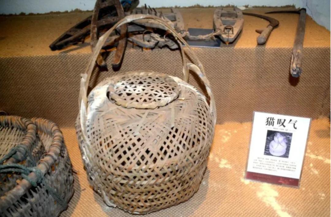 又见猫发布的作品,猫叹气代表什么意思