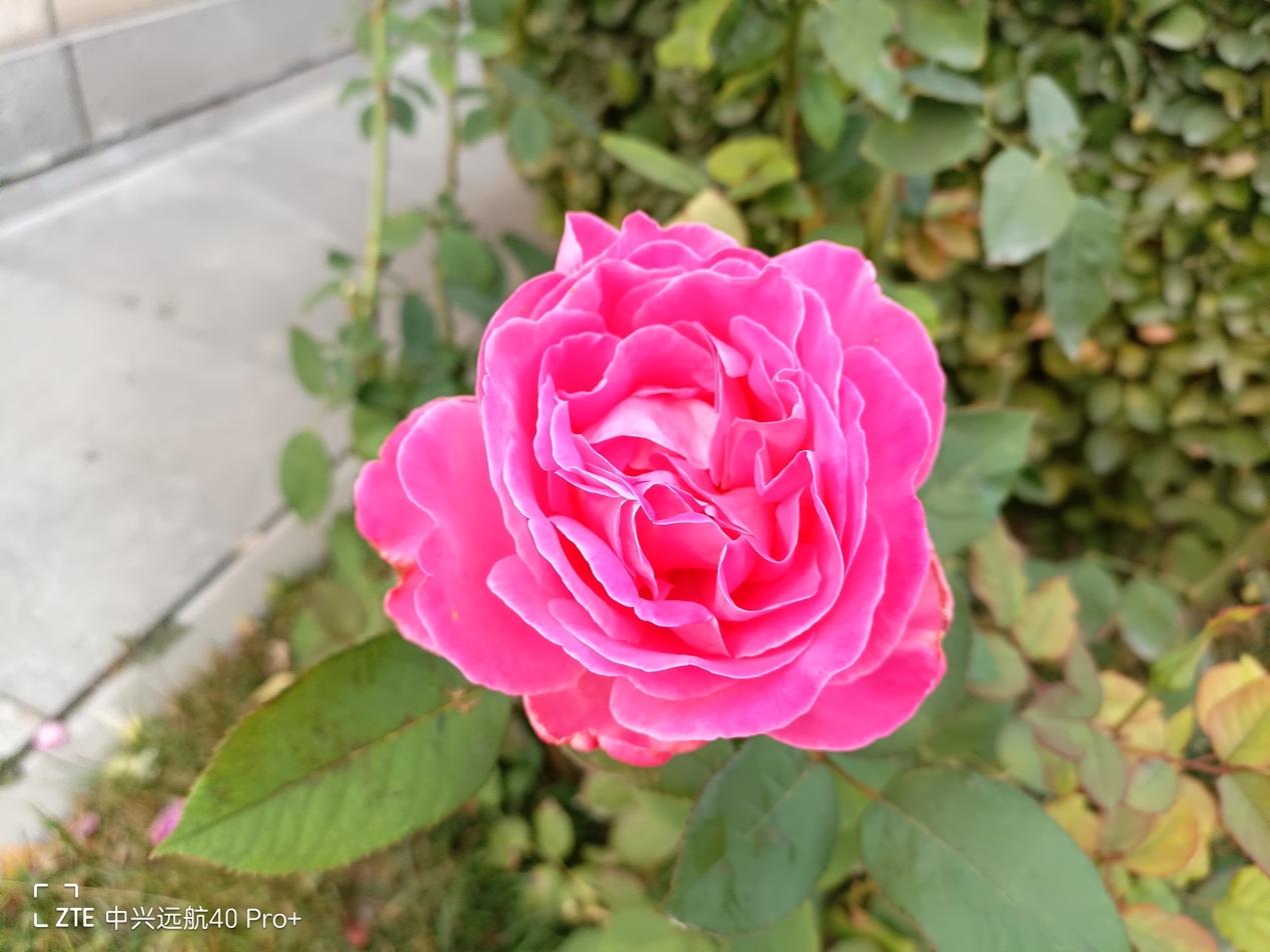 中兴远航40pro+使用感受,中兴远航40pro深度测评