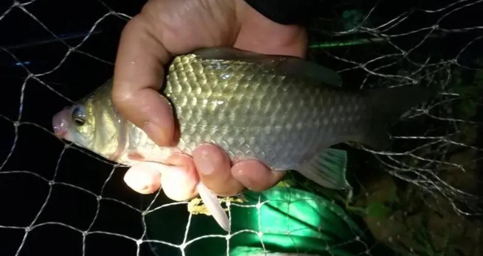 竿包怎么选？从实用性出发，好用、耐用是重点