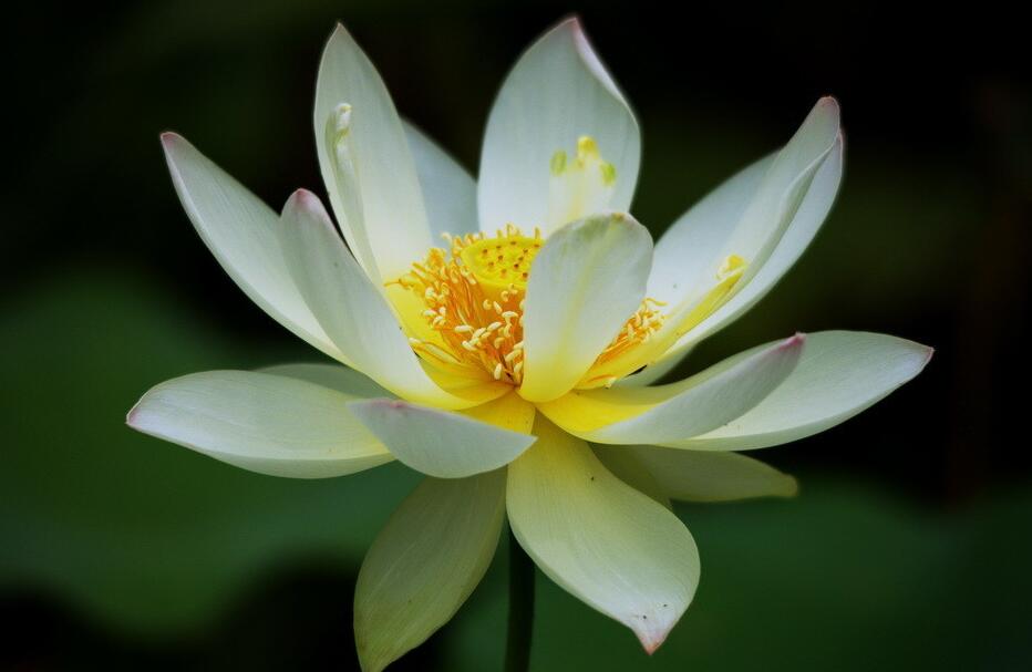 手老出汗怎么办,手出汗可以手术治疗大概多少钱