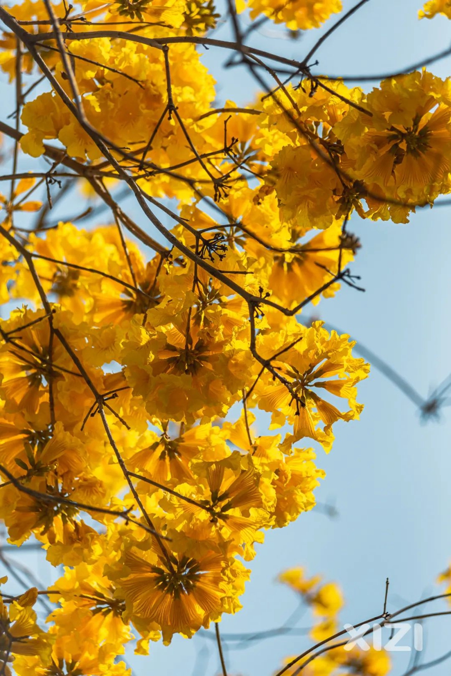 惠州拍照好看的推荐,惠州拍写真的地方推荐