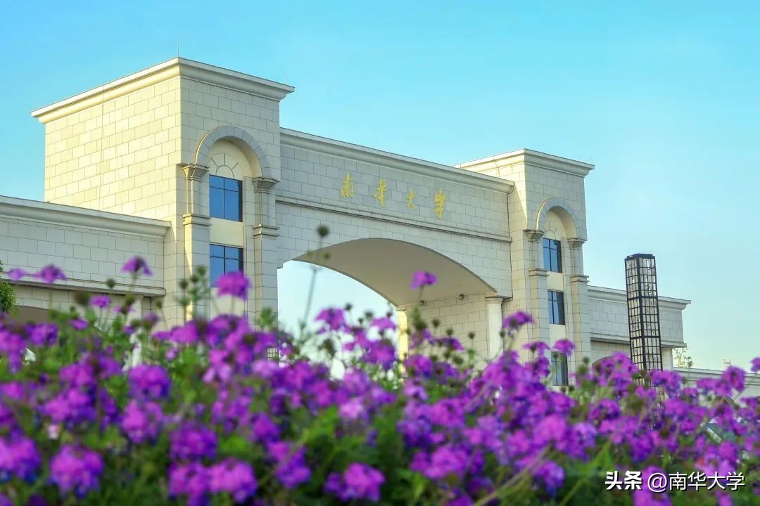 南华大学校花全集,校花南华大学