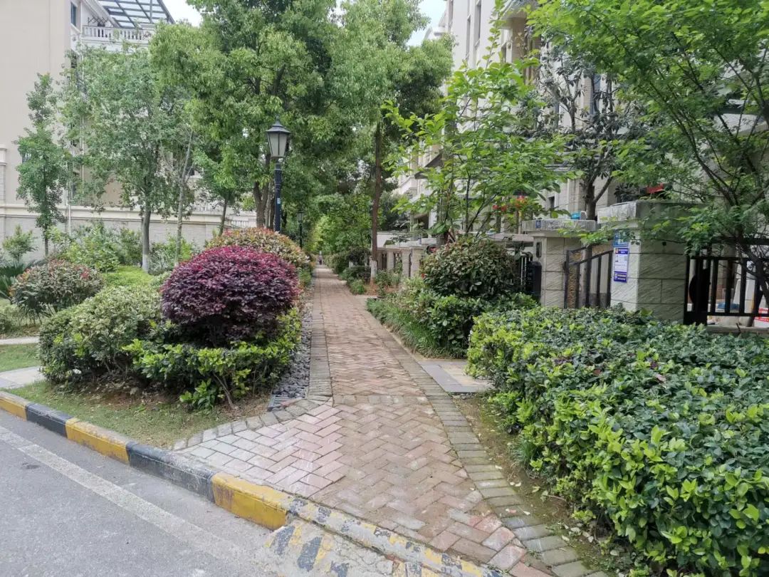 换掉物业最省事的办法,换掉物业之后小区变好了吗