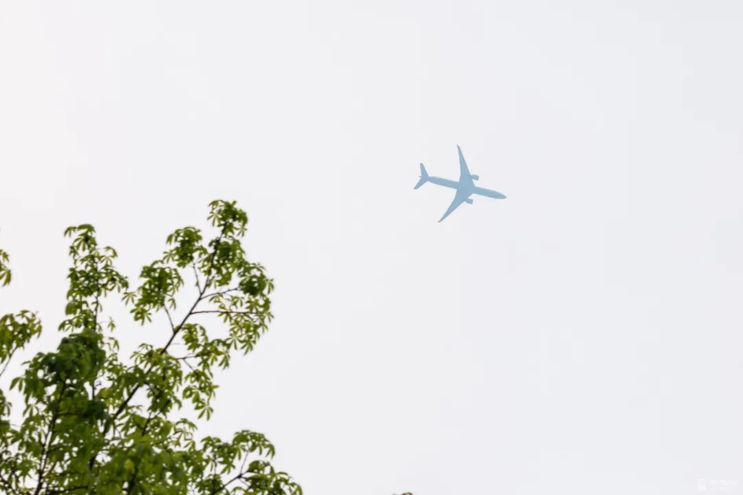 深二代在深圳工作,深二代在深圳生活压力大吗