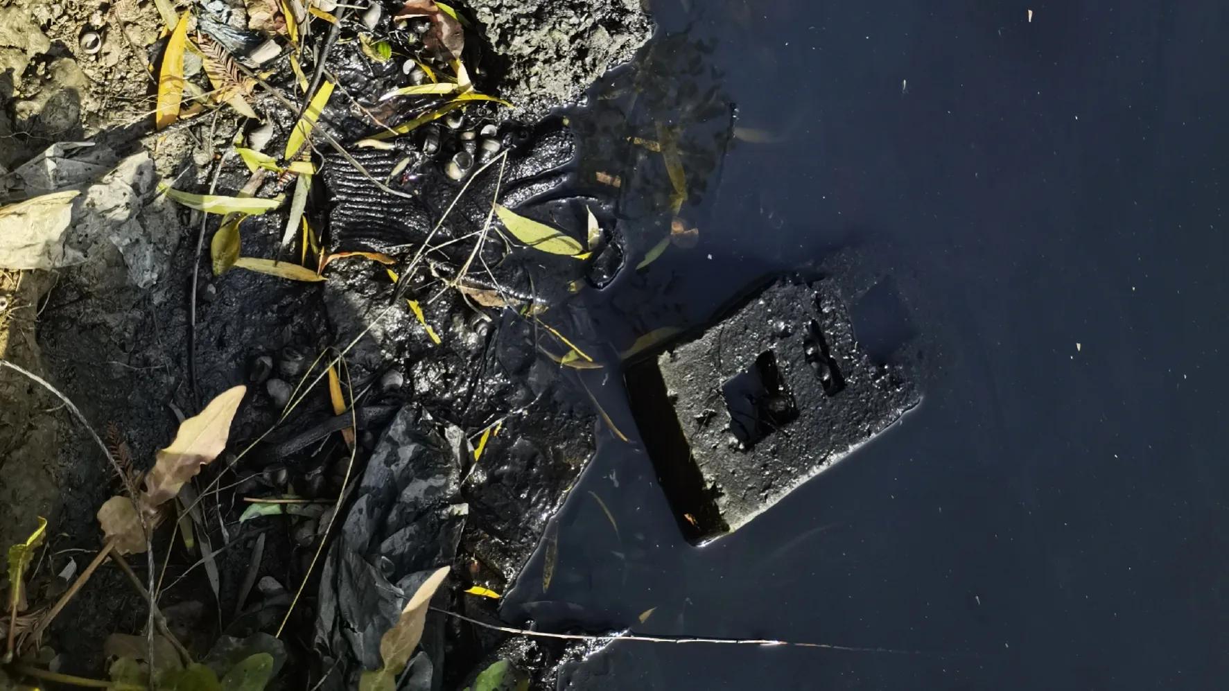 昆山努力打造高质量发展什么环境,持续改善昆山生态环境