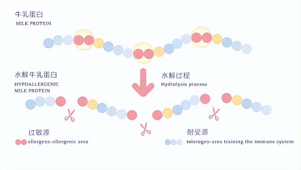 荷兰牛栏pepti深度水解奶粉怎么样,深度水解奶粉有普通奶粉营养好么