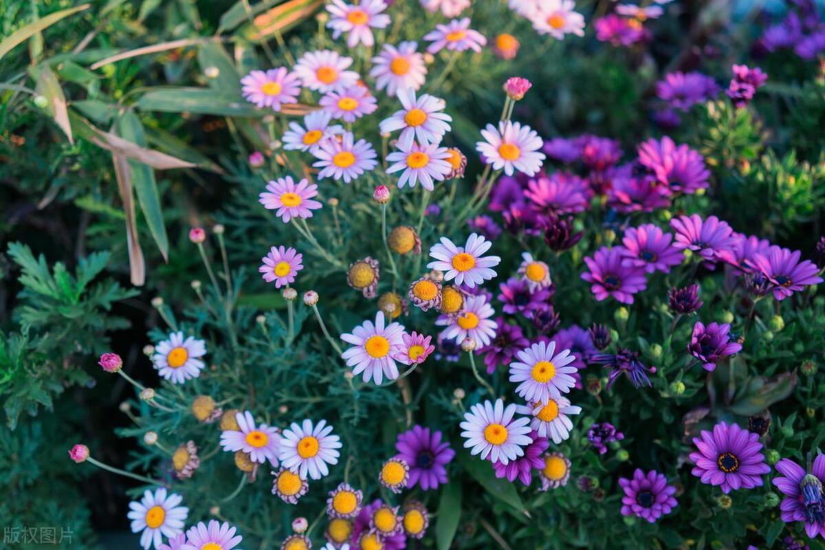 反诈电话提醒是真是假,电话智能反诈功能