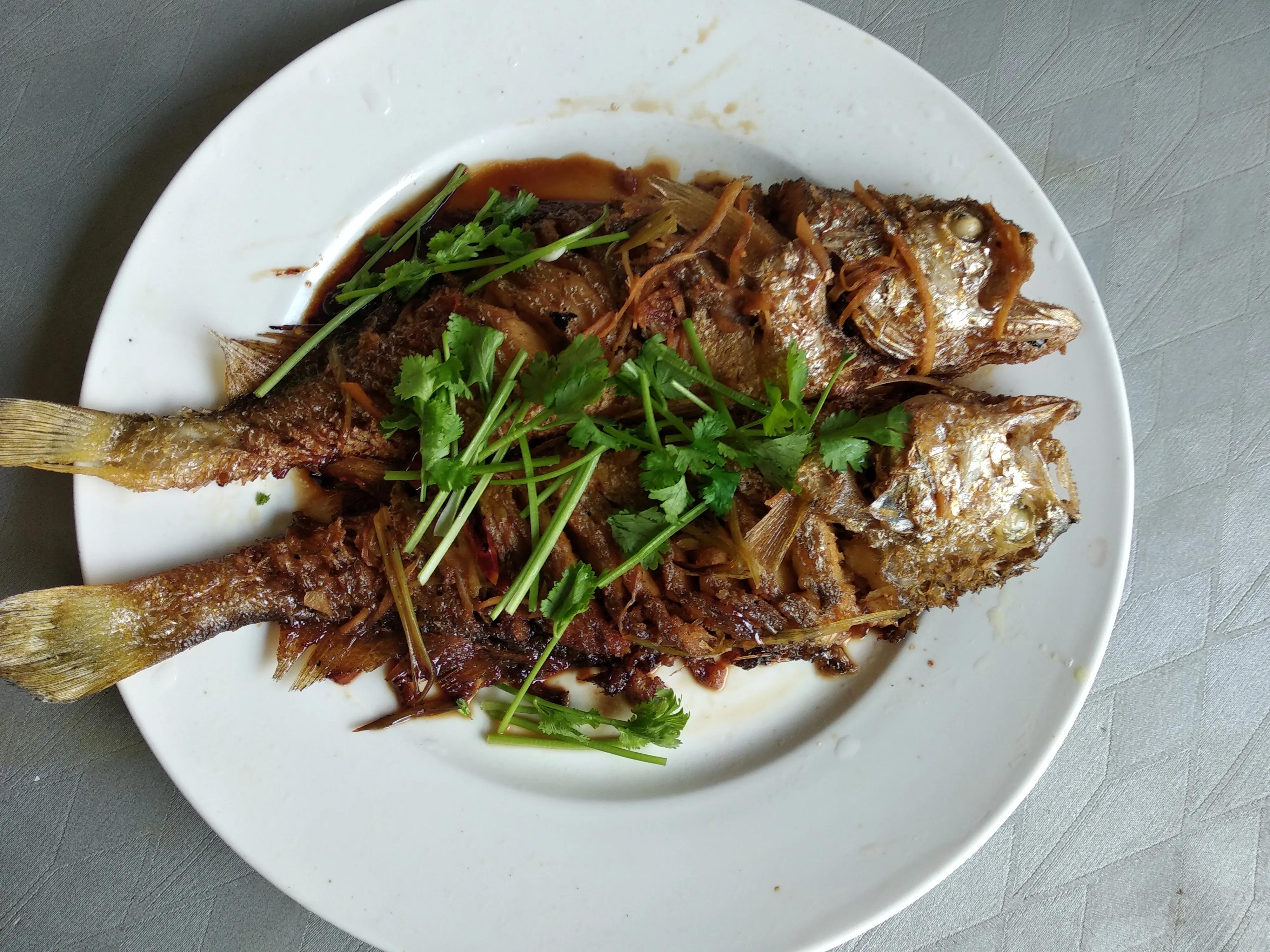 15种常见的海鱼,100种常见食用海鱼图谱