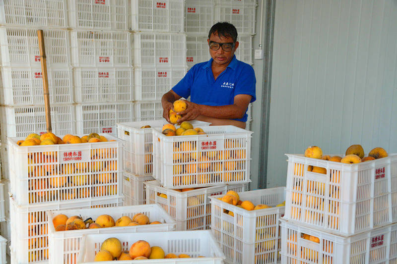 乡村振兴电商带动群众致富,安徽含山电商