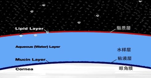 频繁眨眼睛的十大禁忌,频繁眨眼睛是什么综合征