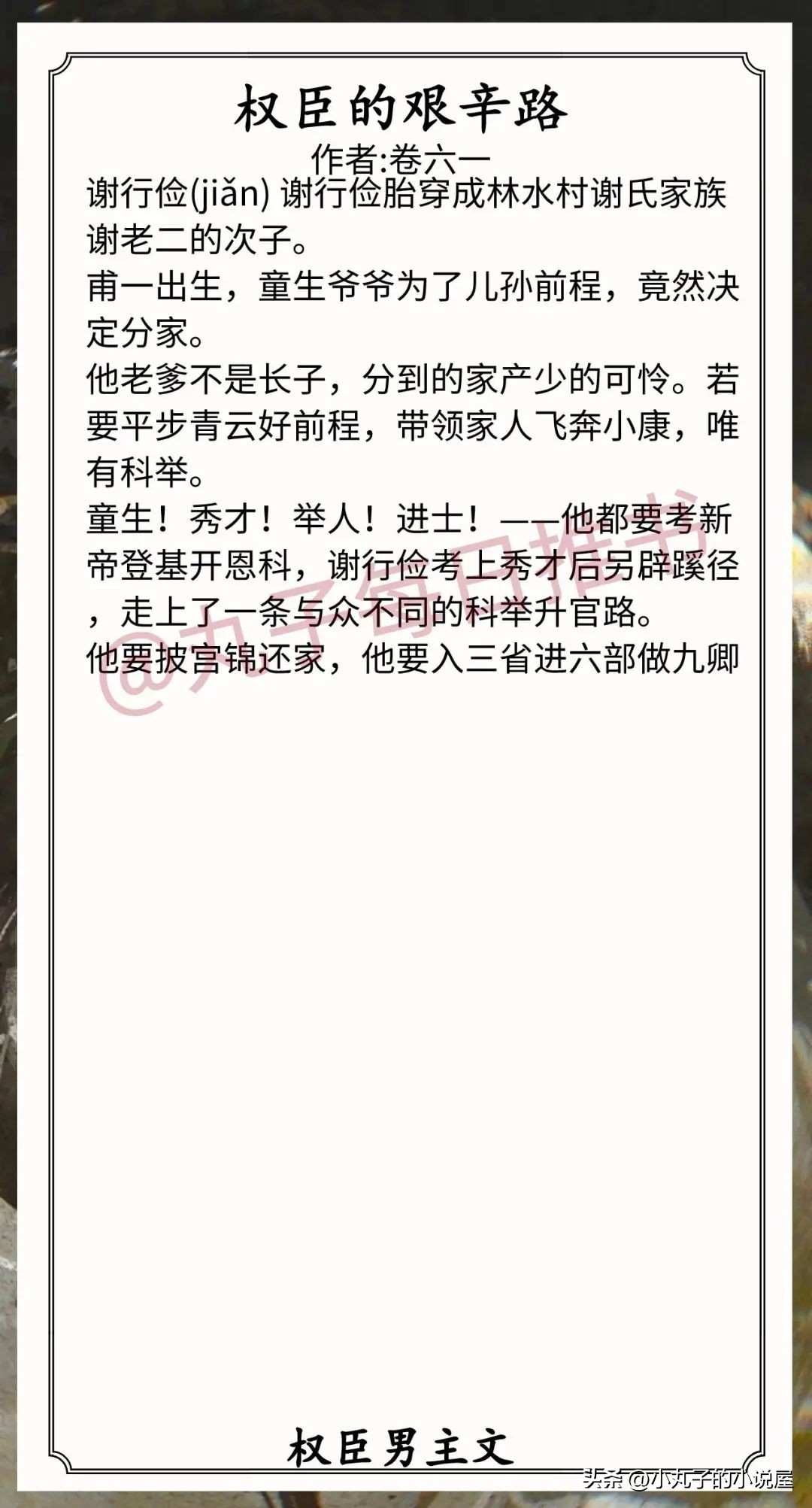 权臣男主文推荐,小说推荐权臣男主