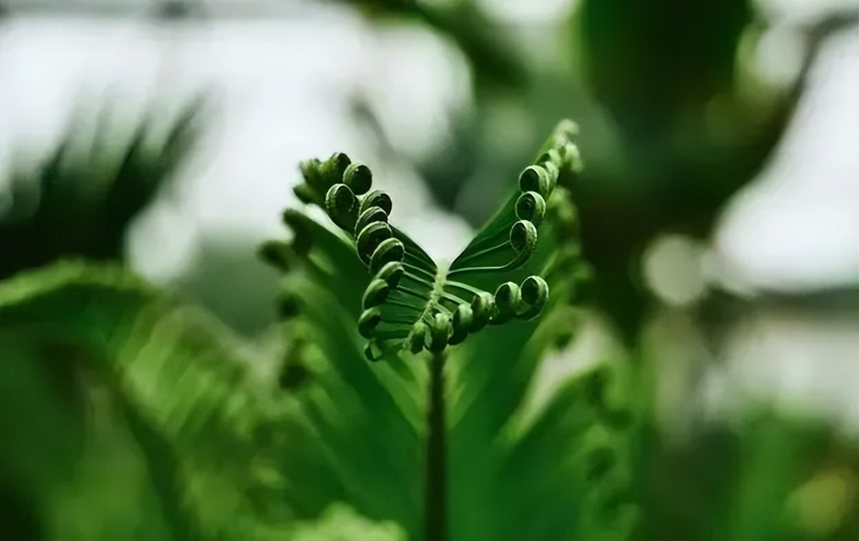 怎样才是正确的摄影拍摄姿势,学会这9个摄影技巧