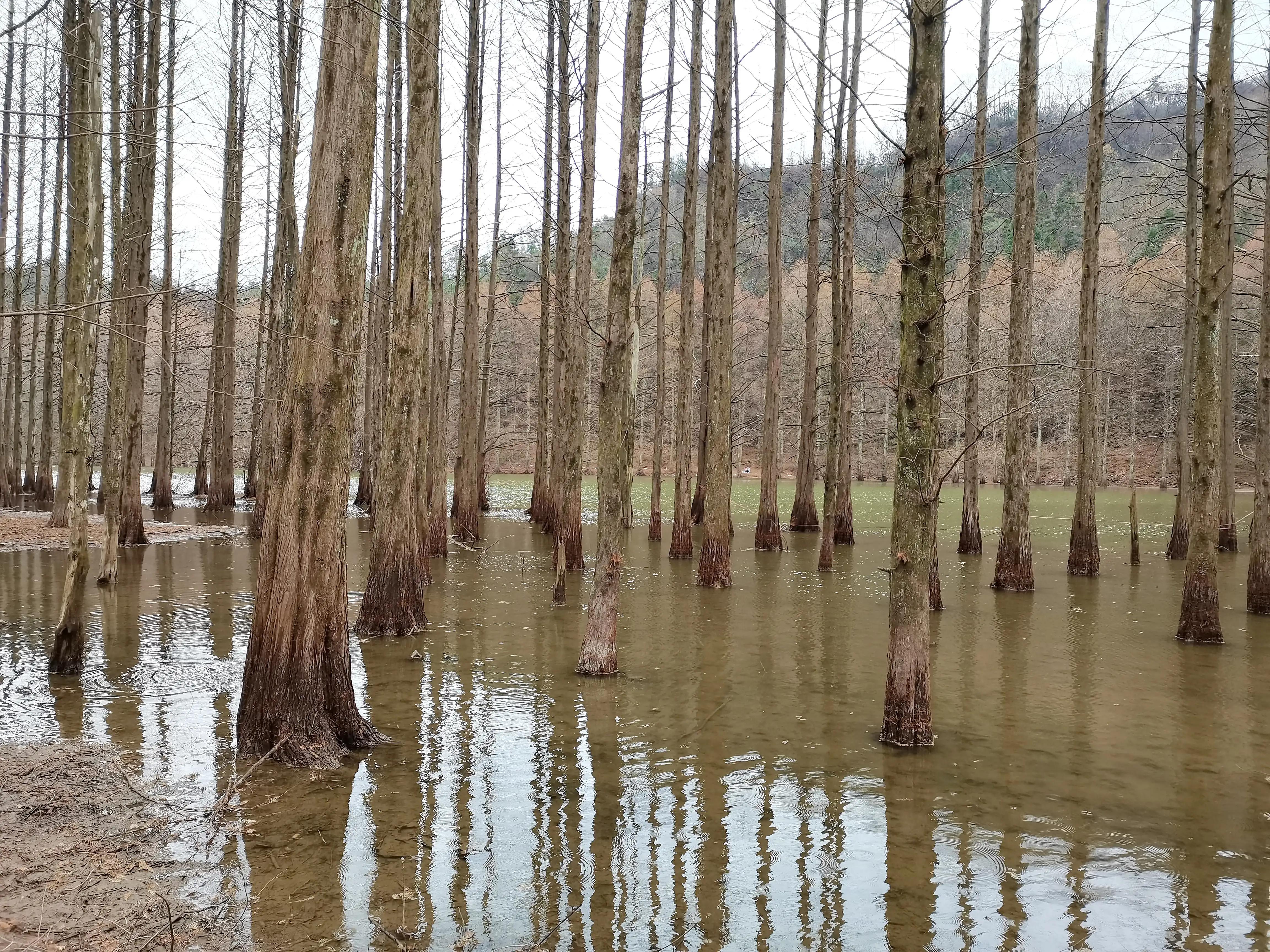 冬日里的汉中美景,南郑龙池秋色视频