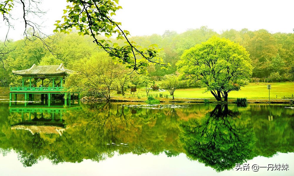 南京特产适合带回家的吃的,去南京旅游有什么特产值得带回