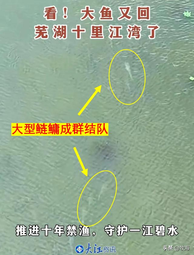 一半喜一半忧,一半喜一半忧粤语