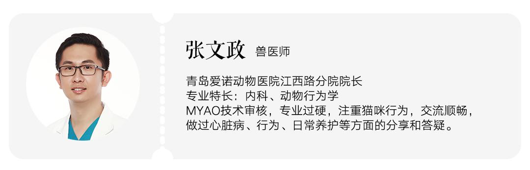 猫咪要怎么喂才是正确的答案,猫咪能每天喂猫吃不同的肉吗