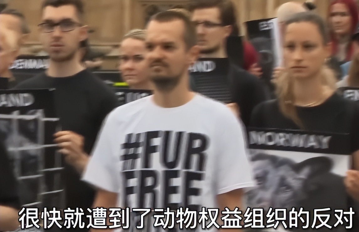 为何穿裘皮的越来越少,为什么人们穿皮草