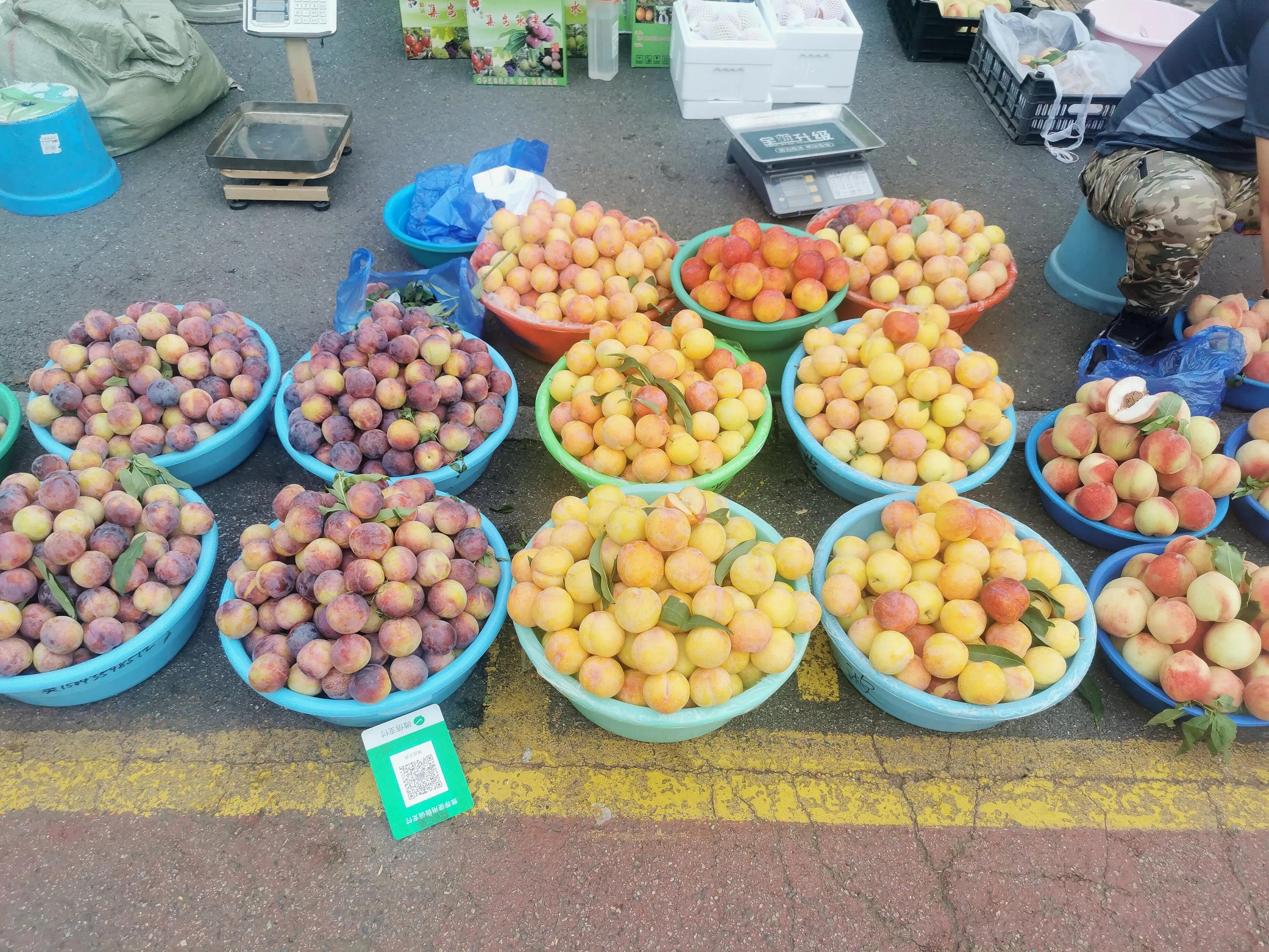 中国申请高句丽世界文化遗产遗址,高句丽历史文化遗址