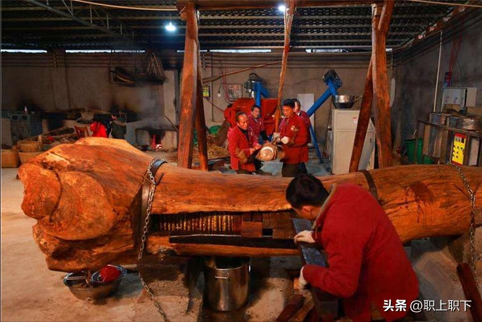 湖南邵阳夫妇在乡场镇给老人拍照月入过万,农村创业有五个风口