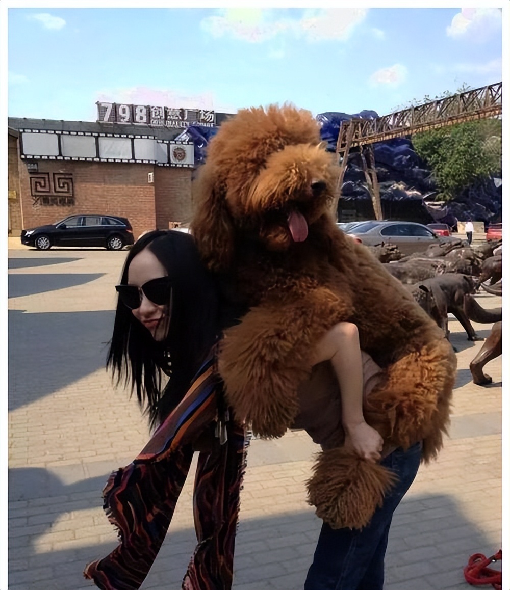 关晓彤养过哪些宠物,关晓彤在家逗狗