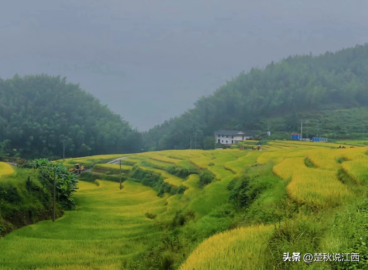 江西有哪些梯田风景区,江西梯田排名前十的梯田