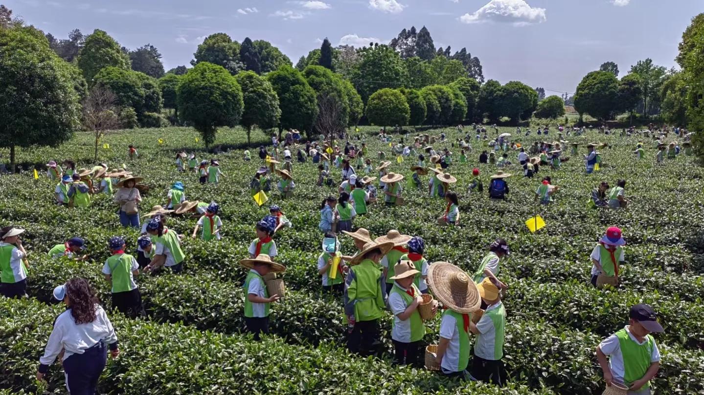 承包方流转农村土地未报发包方备的效力问题分析