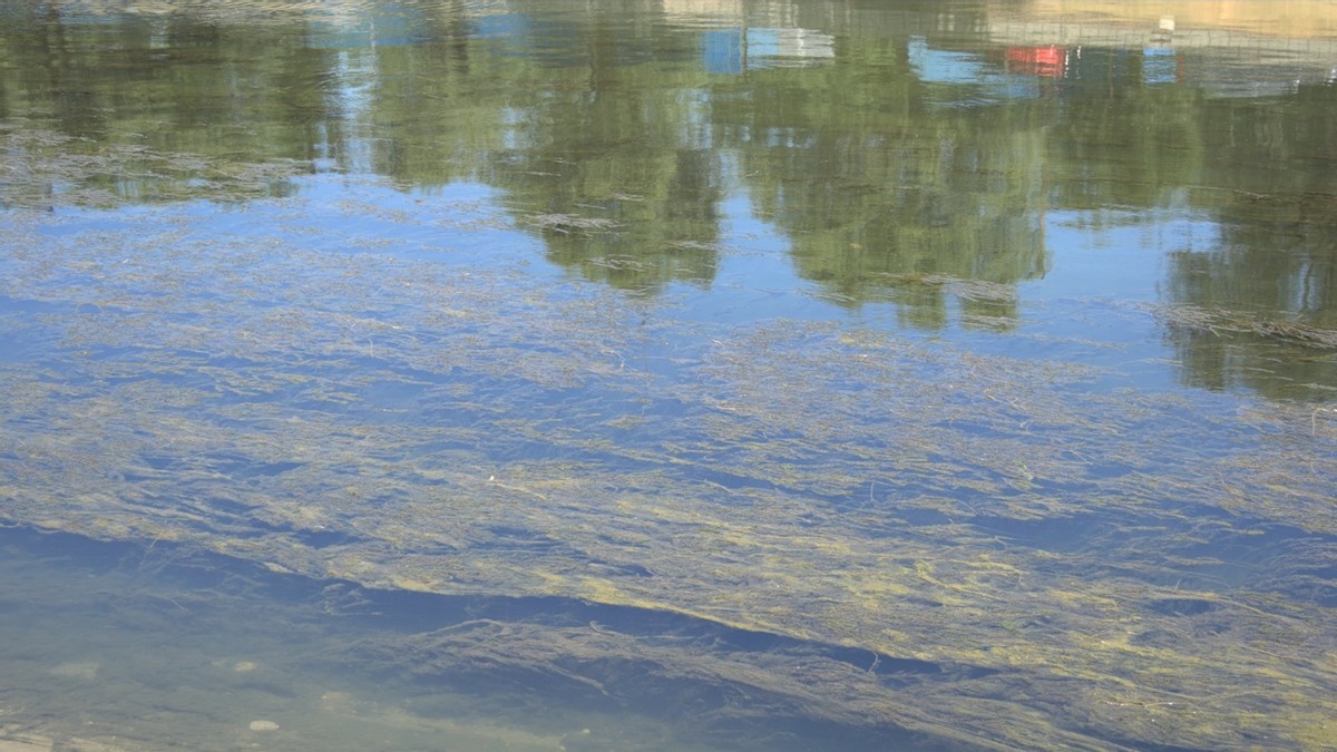 xf605浣宠兘,xf605瀹炴媿