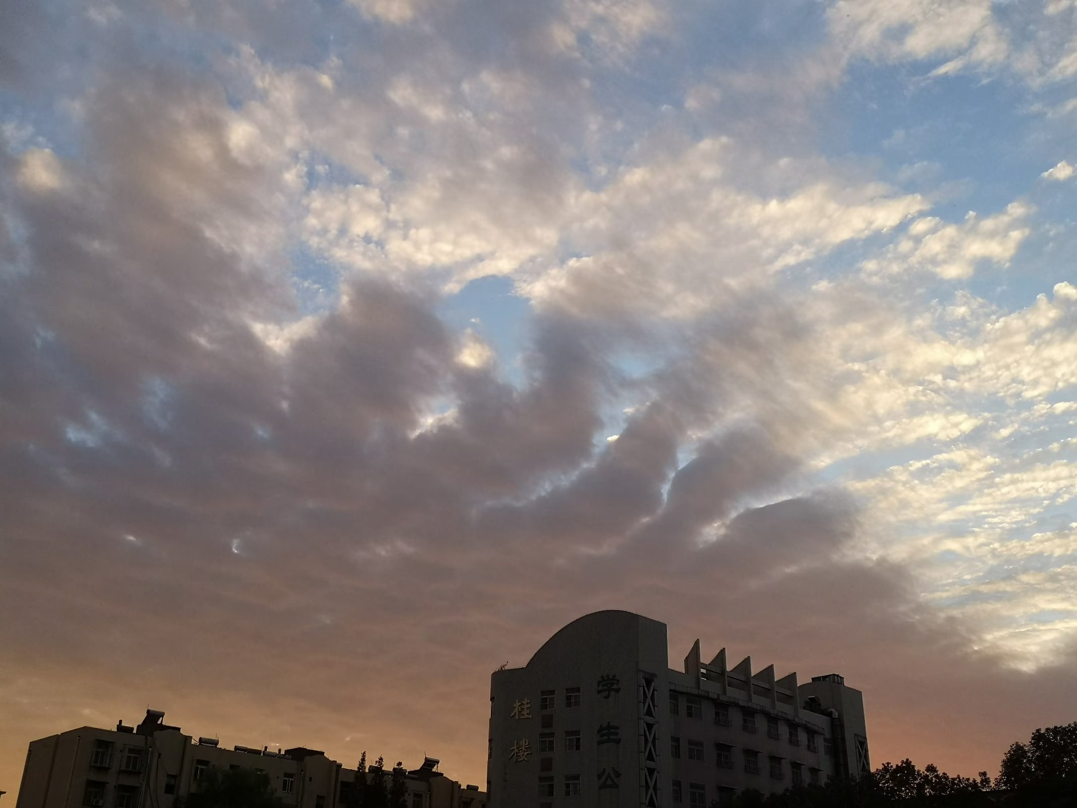 故园杂记——纪念蚌埠三中百年校庆有感（8）