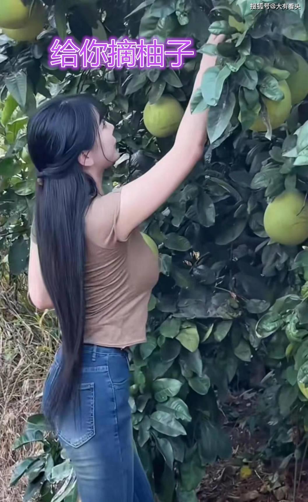 柚子树皮裂了,柚子裂了还能吃吗